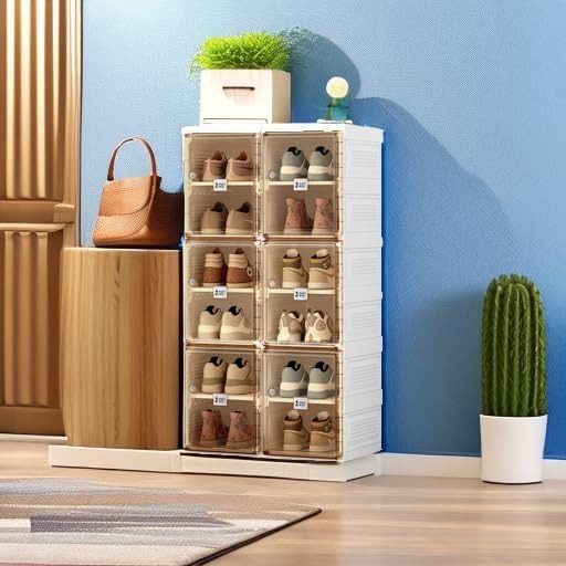 transparent_shoe_cabinet__6-Door